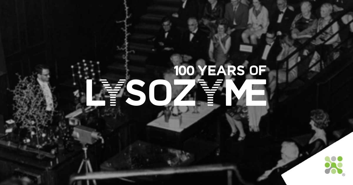 100 years of Lysozyme - Episode III Instalment 2