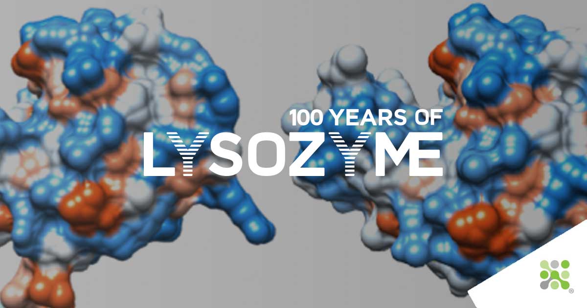 100 years of Lysozyme - Episode III