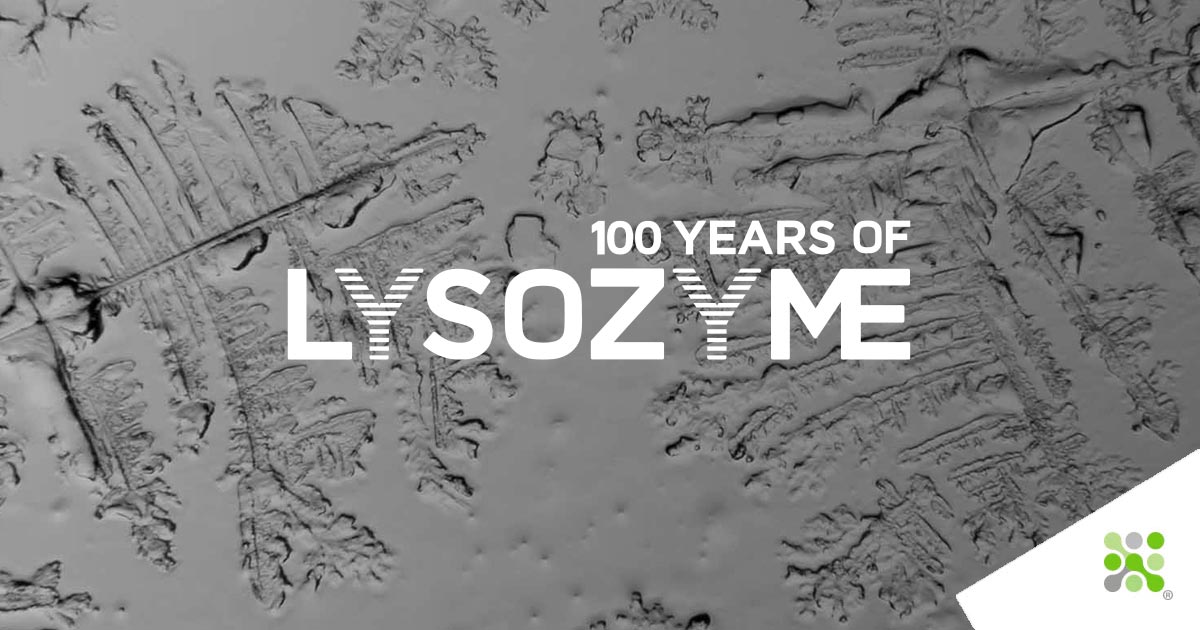 100 years of Lysozyme - Episode I Instalment 2