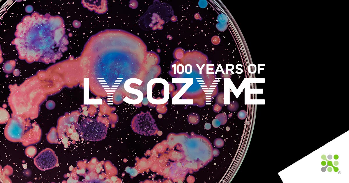 100 years of Lysozyme - Episode I Instalment 4