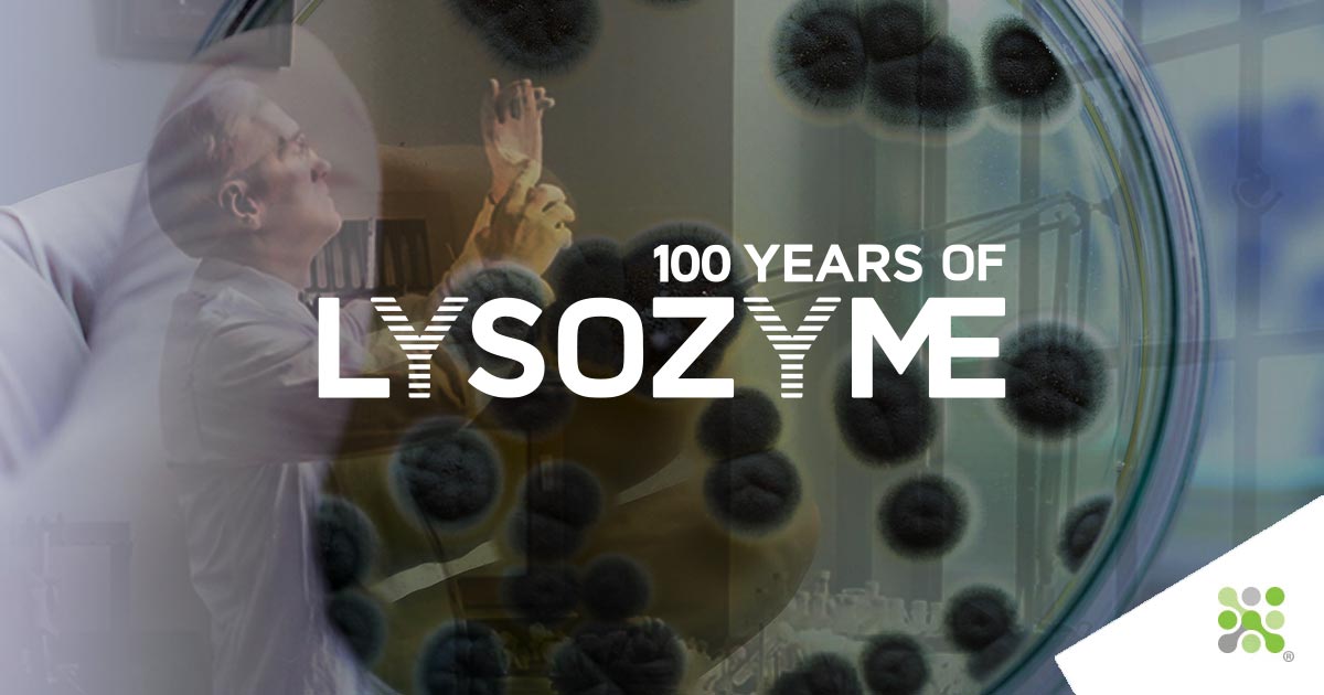 100 years of Lysozyme - Episode II Instalment 1