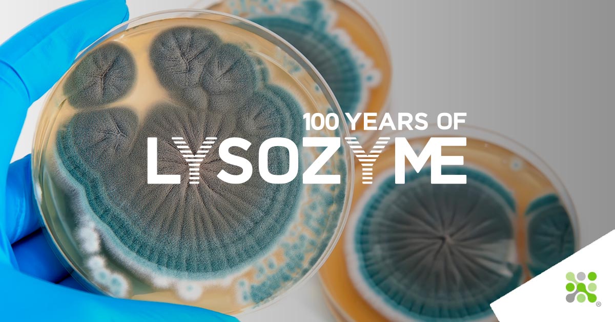 100 years of Lysozyme - Episode II Instalment 2