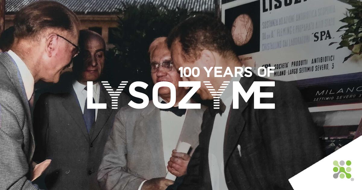 100 years of Lysozyme - Episode II Instalment 3