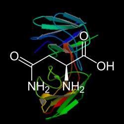 Bioseutica® Ovotransferrin