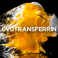 Bioseutica® Ovotransferrin