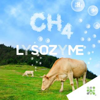 Lysozyme joins the fight against Climate Change