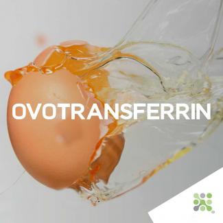Bioseutica® Ovotransferrin