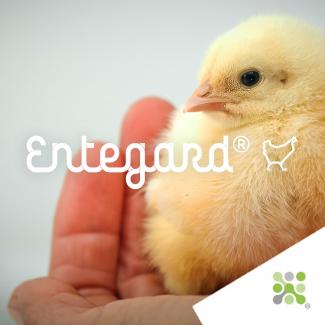 Bioseutica® Entegard® Poultry