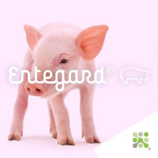 Bioseutica® Entegard® Swine