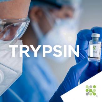 Bioseutica® TRYPSIN I